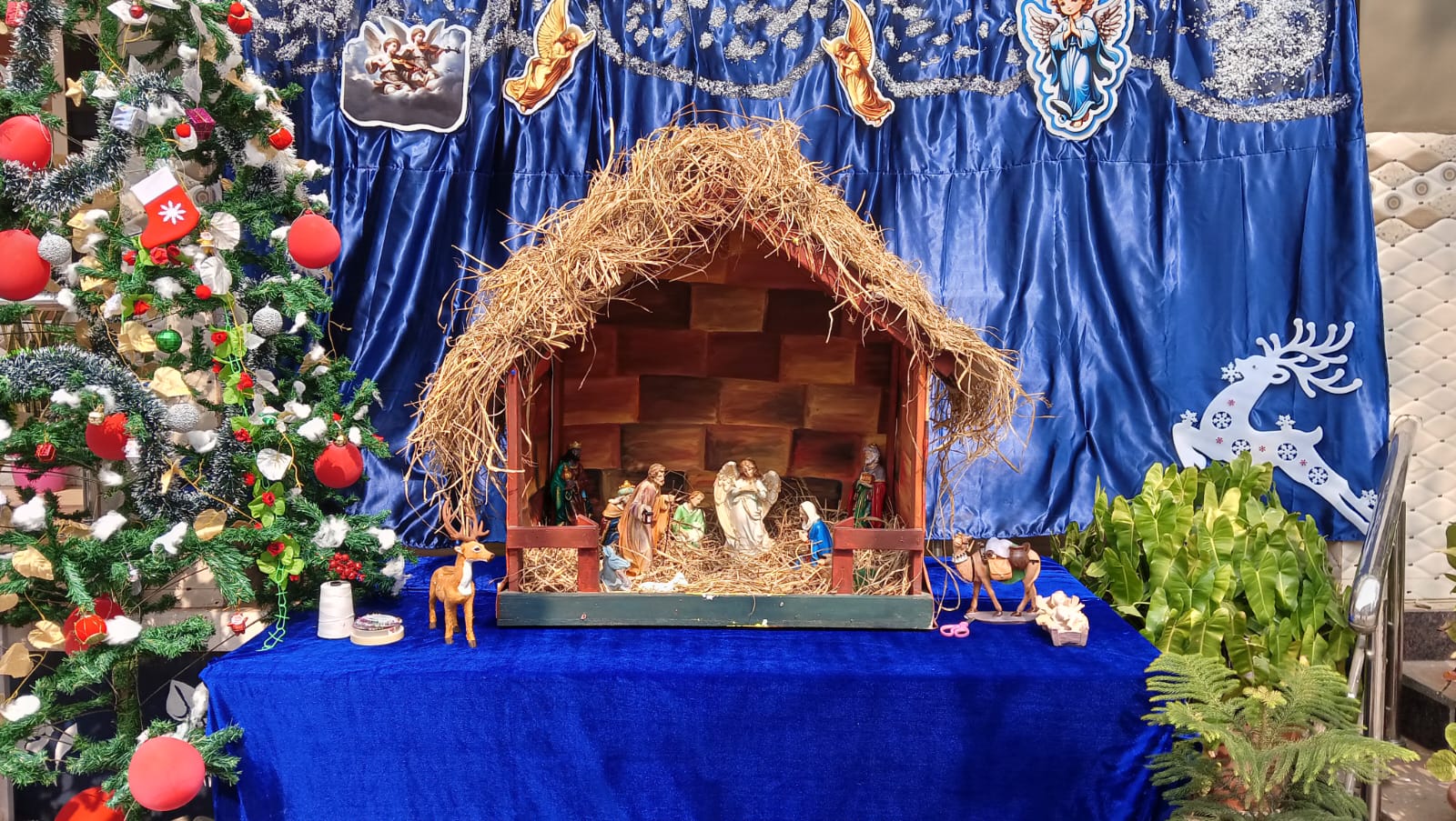 christmas celebration 2025